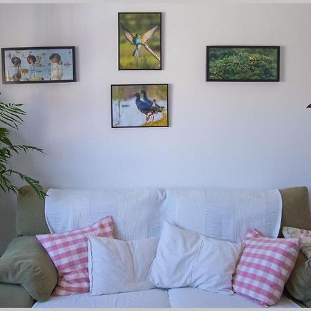 Casa De Los Pajaros เซบีญา ภายนอก รูปภาพ