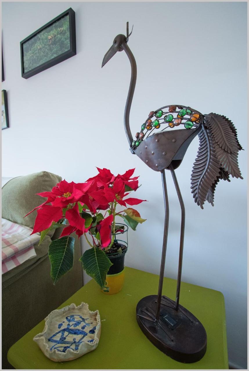 Casa De Los Pajaros เซบีญา ภายนอก รูปภาพ