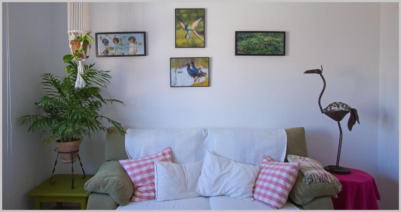 Casa De Los Pajaros เซบีญา ภายนอก รูปภาพ