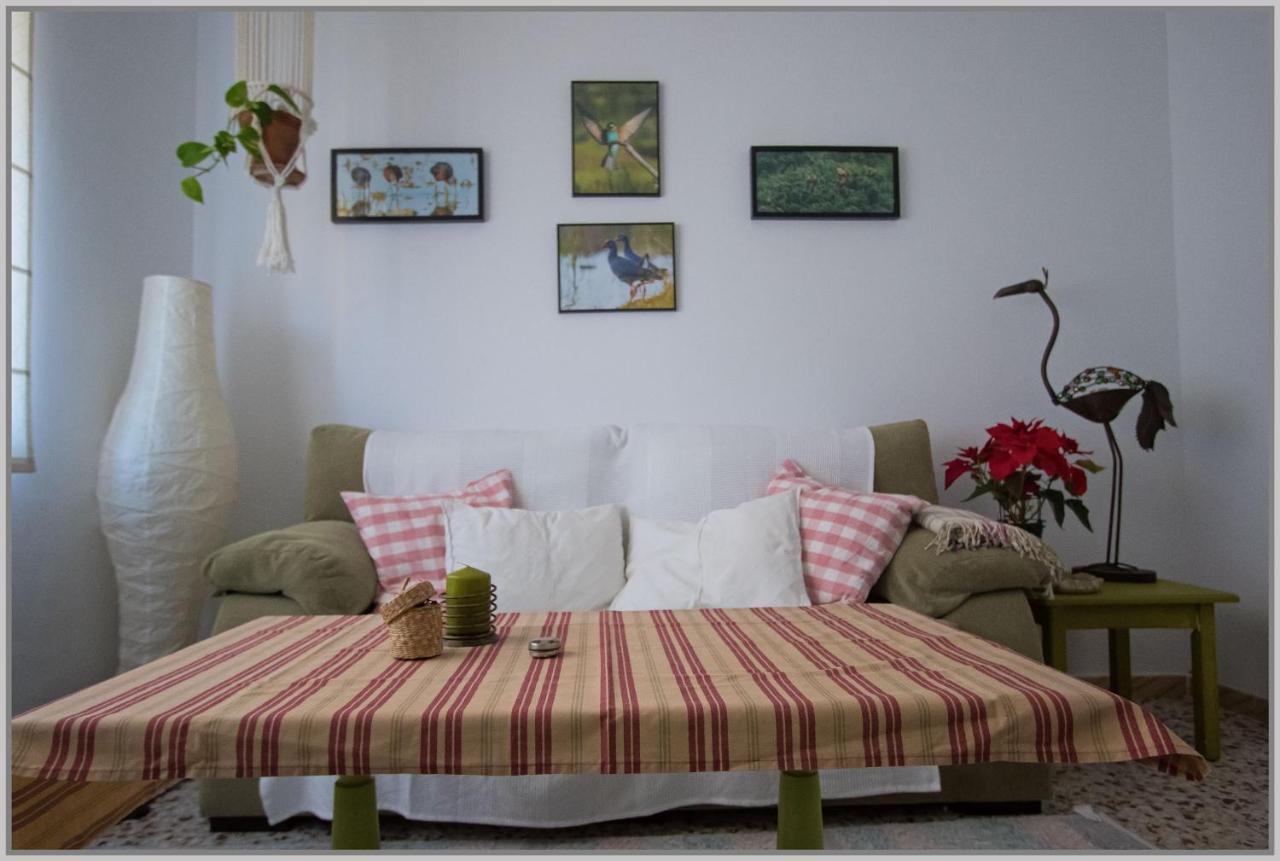 Casa De Los Pajaros เซบีญา ภายนอก รูปภาพ