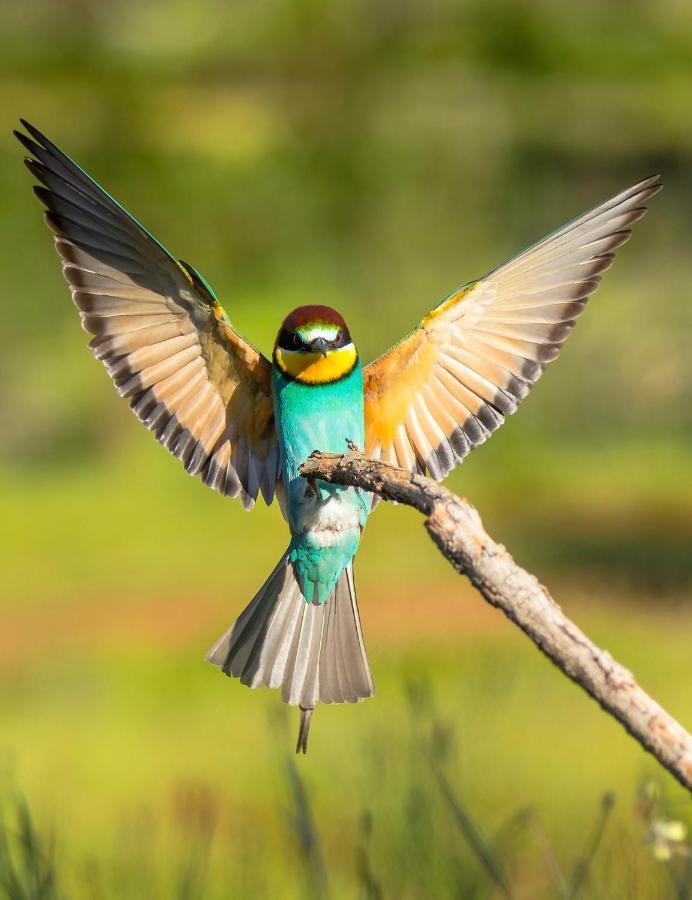 Casa De Los Pajaros เซบีญา ภายนอก รูปภาพ